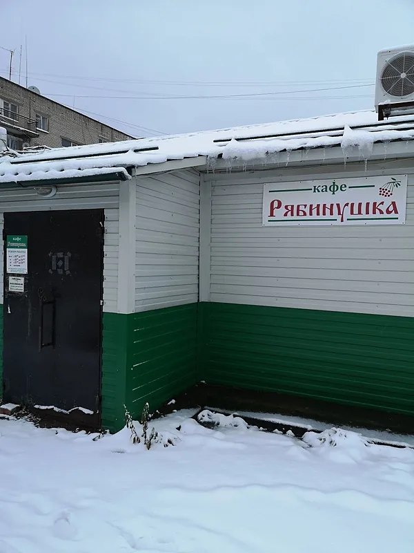 Рябинушка, Ярославль — фото площадки