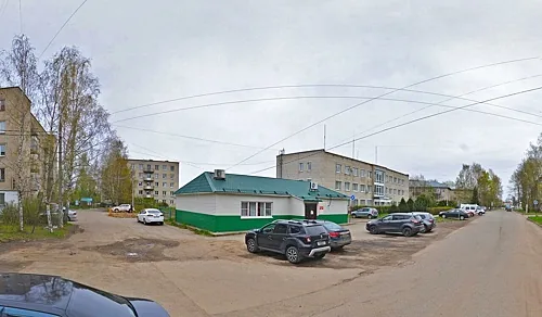 Рябинушка, Ярославль — фото площадки