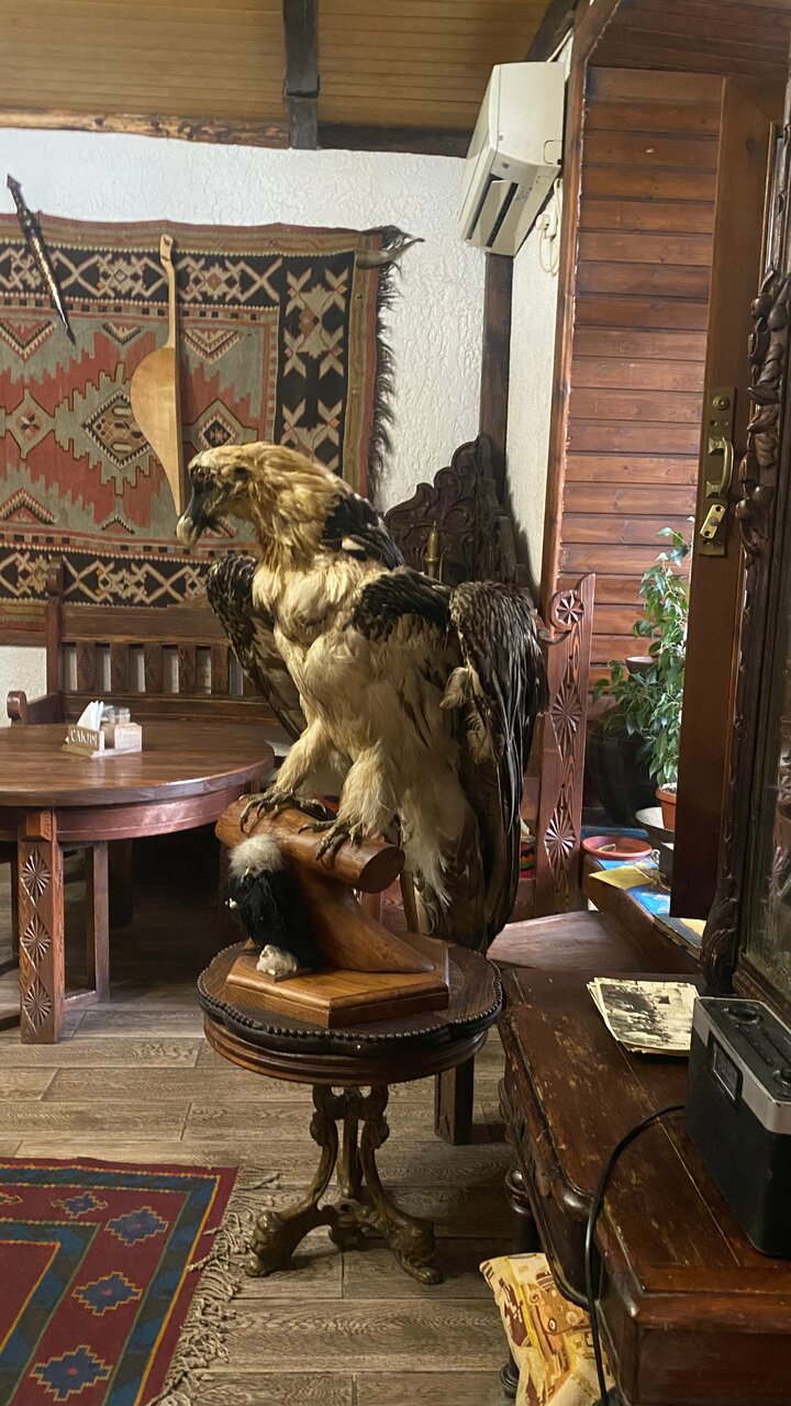 Зал — Сакля