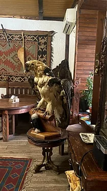 Сакля, Махачкала — фото площадки