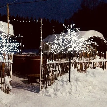 Зорька, Томск — фото площадки