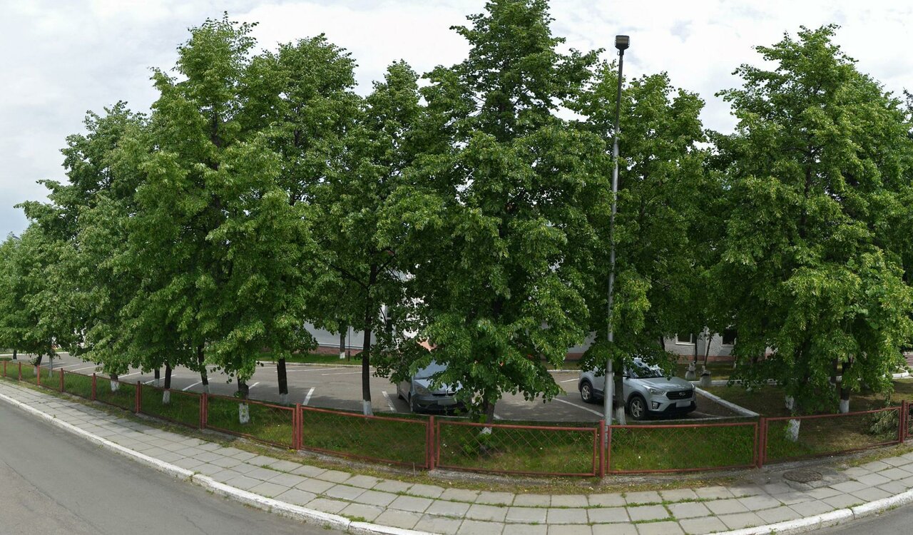 Зал — Арлекино