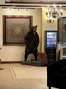 Царская охота, Новокузнецк — фото площадки
