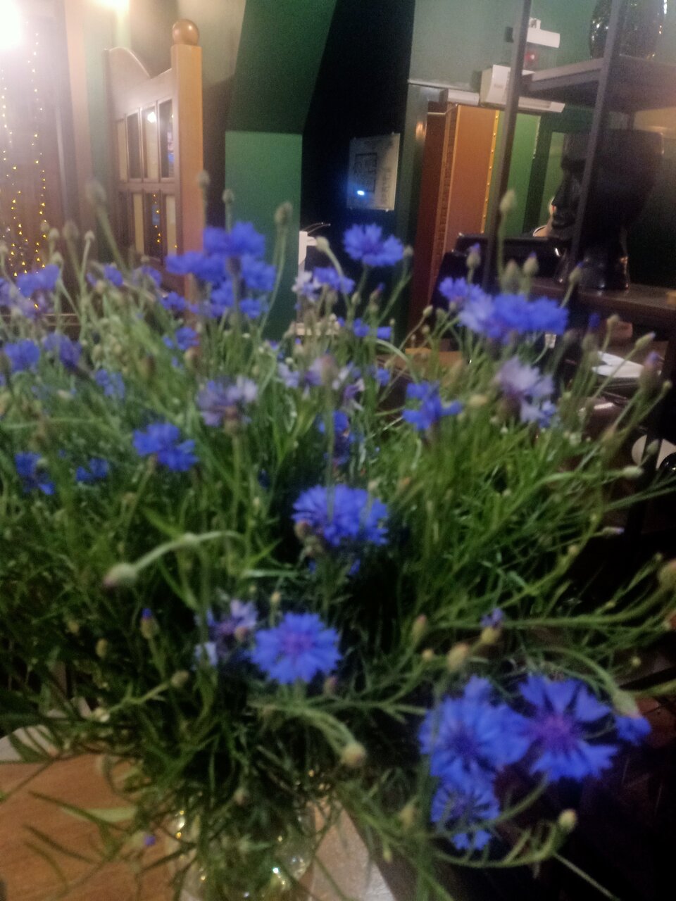 Зал — Gastropub klever