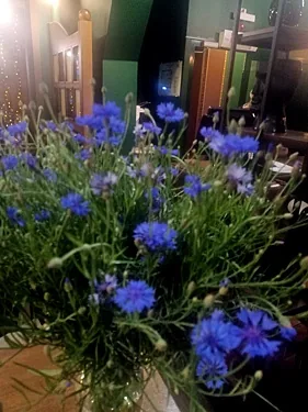 Gastropub klever, Новокузнецк — фото площадки